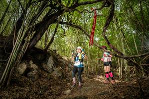 BIB: 
                            <button type="button" onclick="openModal(22178517)" class="btn btn-primary btn-sm float-right btn-popup" data-toggle="modal" data-target=".modal-high-quality">
                        <i class="fas fa-shopping-cart"></i> Add to Cart
                    </button>
                                            <button type="button" onclick="isThisMe(22178517, true)" class="btn btn-success btn-sm float-right btn-popup btn-isme hidden" data-toggle="tooltip" data-placement="bottom" title="นี่คือรูปของคุณใช่ไหม คลิกที่นี่เพื่อเอาเข้าอัลบั้ม">
                        <i class="fas fa-plus"></i> Add to album
                    </button>
                    <button type="button" onclick="isThisMe(22178517, false)" class="btn btn-warning btn-sm float-right btn-popup btn-isnotme hidden">
                        <i class="fas fa-ban"></i> Remove from album
                    </button>